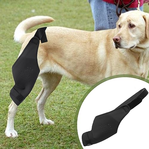 Image of Knee Brace Dog Thigh Protection Sleeve Joint Knee Pads Leg Protection Weakness Injury Protection Postoperative Rehabilitation Bracket Fixed Leg Straps, Black