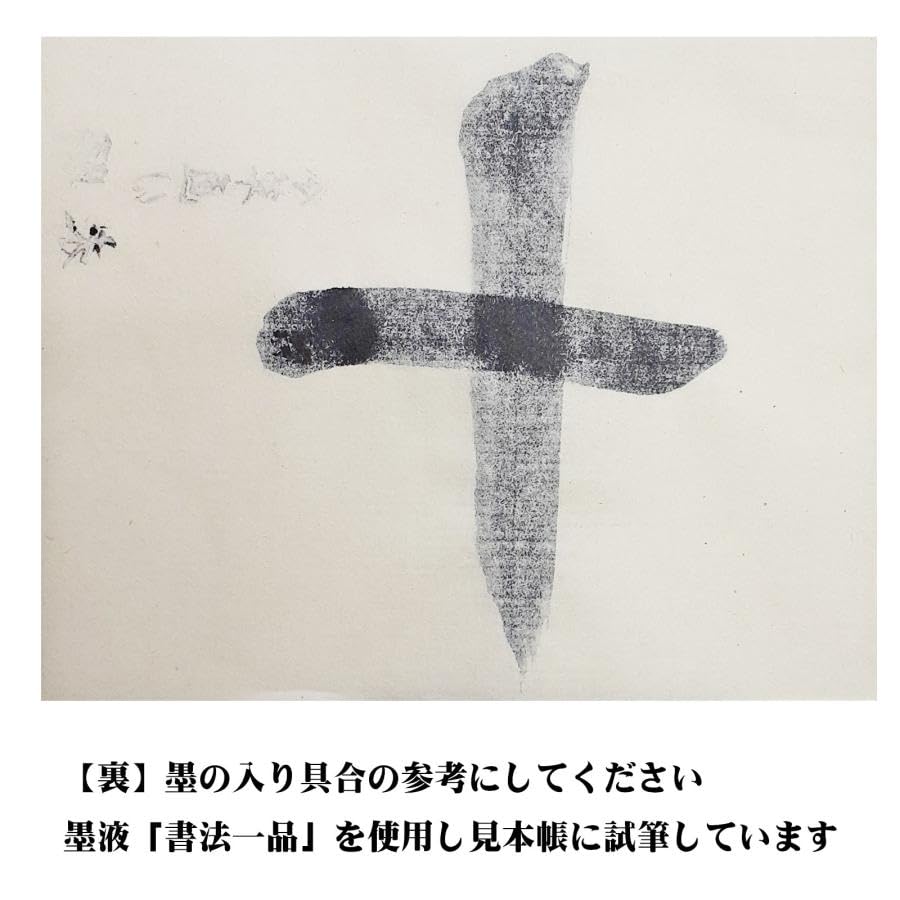 Amazon.co.jp: 宝林堂 手漉 画仙紙 本草画仙 未晒 半切20枚入 因州和紙