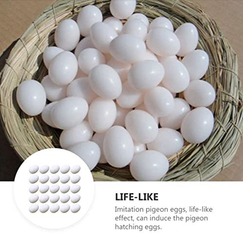 Balacoo 60 Pcs Plastic Stop Induced Bird White Quaker Diy Simulated Dummy Racing Play Food Mm For Incubation Decorative To Geese Small Eggs Simulation Birds Water Mm* Supplies Cockatiel #TOP3