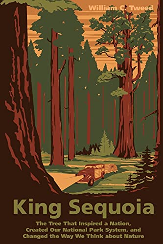 King Sequoia: The Tree That Inspired A Nation, Created Our National Park System, And Changed The Way We Think About Nature #TOP9
