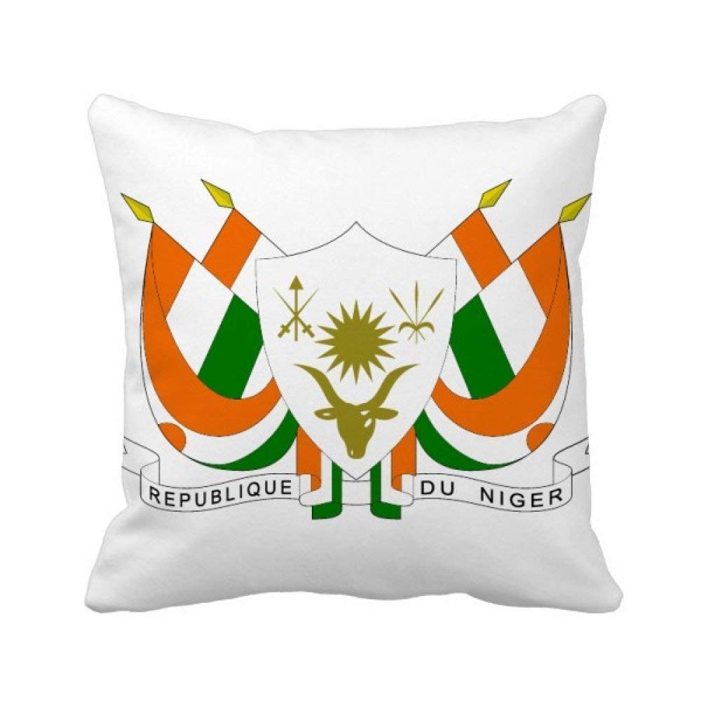 Coussin Niger pour décoration maison : sublimez le canapé de votre salon chaleureux