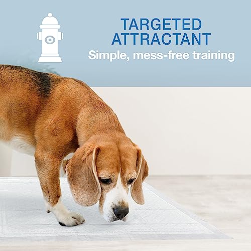 Image of Four Paws Wee-Wee Super Absorbent Unscented Pee Pads for Dogs & Puppies with Insta-Rise Border, Leak-Proof Dog Housebreaking Potty Training Floor Protection, 22 inch x 23 inch, 10 Count (Pack of 3)