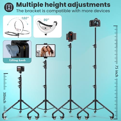 MACTREM 22" Foldable Ring Light with Stand for iPhone ipad, 75" Tripod with Wheels 50W 6500K LED Display/2 USB Ports Large Ringlight Rolling, Tattoo Barber Makeup Studio Video Photography Lighting