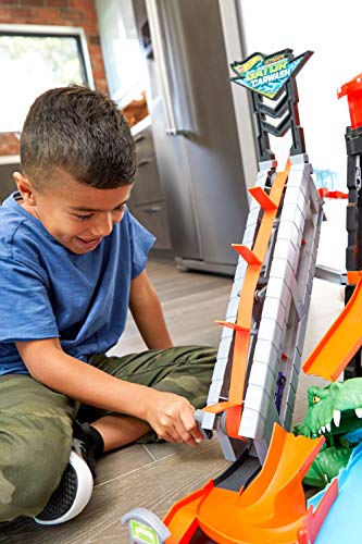 Hot Wheels Ultimate Gator Car Wash Playset