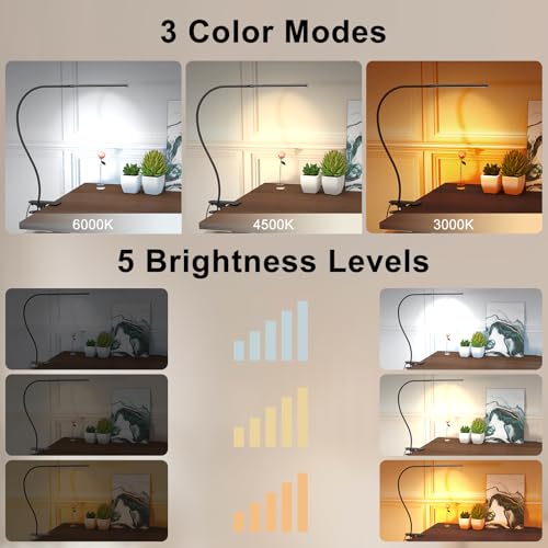 Image of Desk Lamp with 3 Color Modes and 5 Brightness Levels, Reading Light for Reading