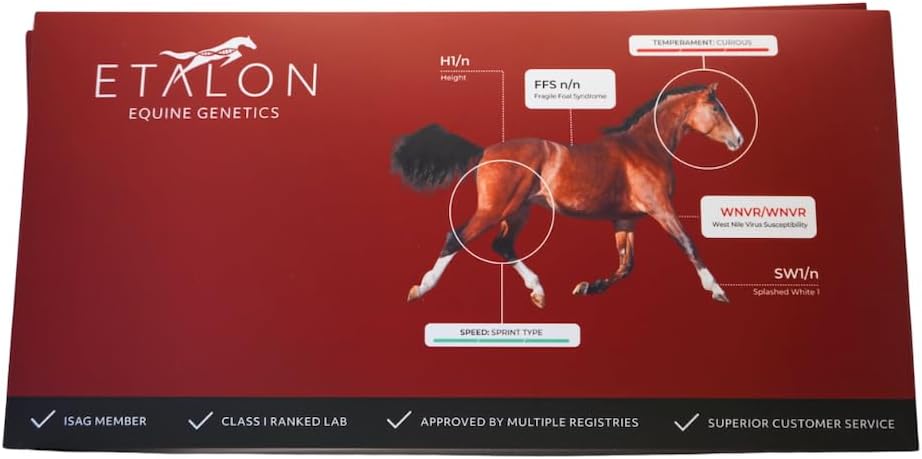 Etalon Equine Genetics ProPanel Horse DNA Test - Genetic Testing Kit (70+ Traits) to Identify Equine DNA - Test for Coat Color & Patterns, Disease Risk, Abilities & Performance Genetics & More