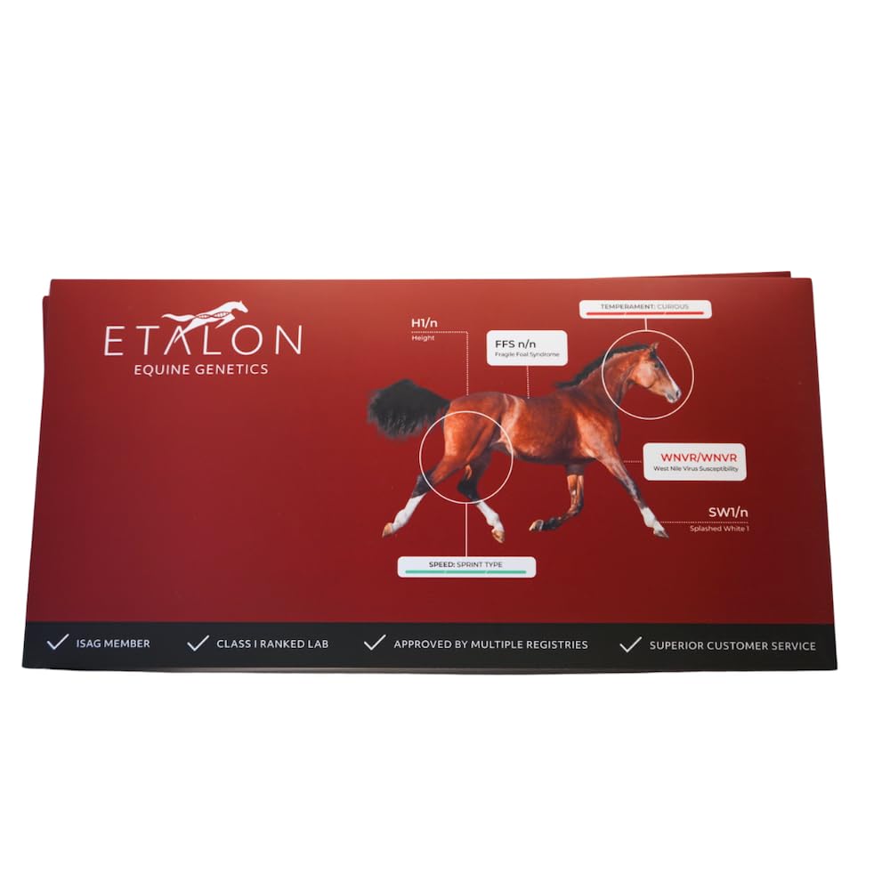 Etalon Equine Genetics Pro Package Horse DNA Test - Genetic Testing Kit (70+ Traits) to Identify Equine DNA - Test for Coat Color & Patterns, Disease