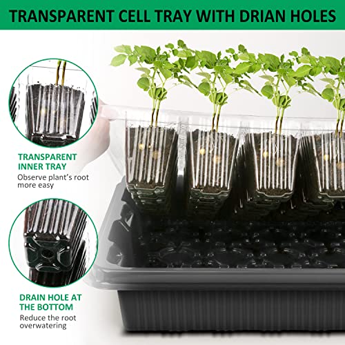 YAUNGEL Zimmergewächshaus Anzuchtkasten, Verdicken XL Anzuchtset 38x24x12 cm Mini Gewächshaus Anzucht Set mit Deckel und Belüftung für Samen & Setzlinge, 4 Stück 160 Pflanzlöchern, Schwarz