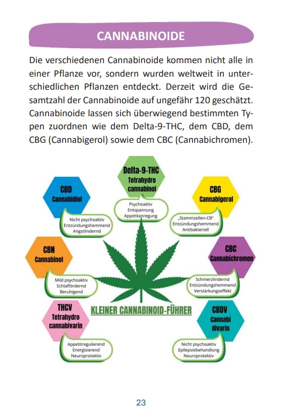 CBD: Medizinisches Cannabis (Therapeutika: Serie)