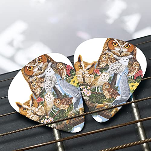 Pack de 12 médiators Hibou pour guitare électrique Guitare acoustique Diverses guitares - Les Beatles, Paul McCartney, John Lennon, RIngo Starr, George Harrison Pack de 12 médiators Hibou pour guitare électrique Guitare acoustique Diverses guitares – Image 7