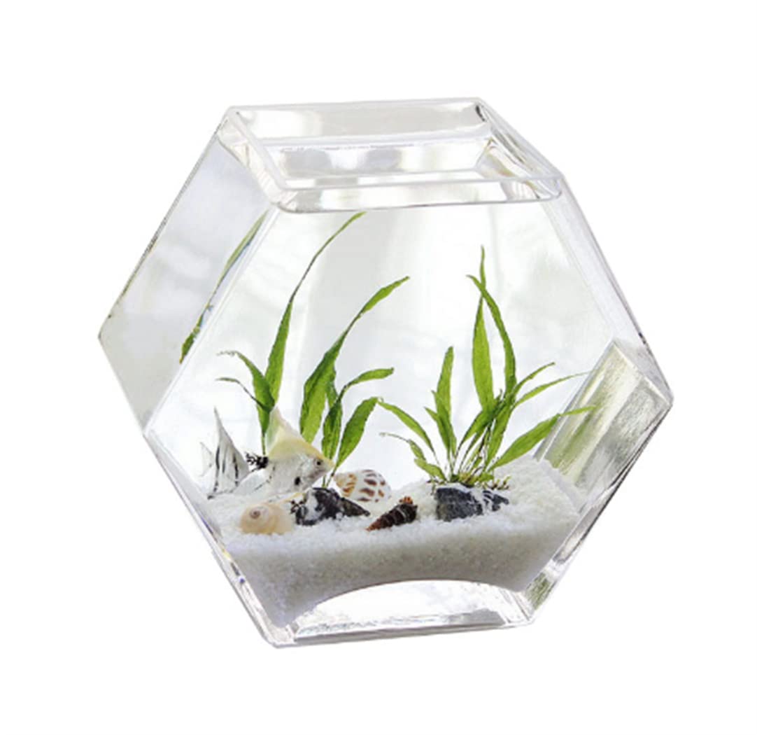 □新品□2WAY 水槽 アクアリウム 金魚鉢 卓上 AQUARIUM すいそう
