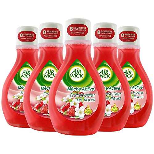 AIRWICK Lot de 5 Désodorisants Mèche Active Framboisier Flacon de 375 ml