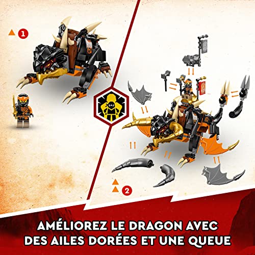 LEGO 71782 Le dragon de de Cole Évolution NINJAGO - vue 9