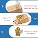 XX Excavation Dig Kit for Kids Egyptian Mummy Toy Get One of Six Style Objects at Random(1 Pack)