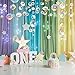 Transparent Bubble Garlands Mermaid Party Decoration Colored Flat Cutouts Hanging Streamer for Birthday Baptism Wedding Ocean Wall Decal Baby Shower Under Sea Festal Kid Room Photo Props (Color)