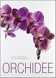 Orchidee. Ediz. illustrata