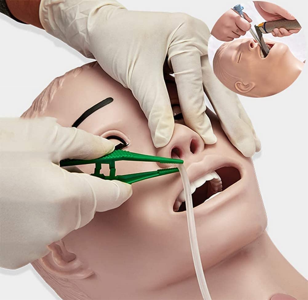 PVC-Multifunktionales Demonstrationsmodell, Patientenpflege, Manikin, Ganzkörper, für Studenten, Bildung, Unterricht, medizinische Ausbildung, Fähigkeiten, 170 cm