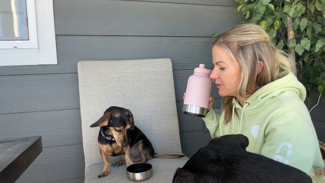 Cibaabo Insulated Dog Water Bottle with 2 Bowls, 32oz Travel Stainless Steel Double Wall Thermos, Portable Pet Dispenser, Gifts for Puppy Small Medium Dogs Walking Hiking and Camping - image 6