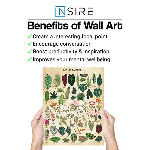 Insire Botanical Wall Art Botanical Poster Plant Poster - Set Of 2 (11X14) Plant Art, Vintage Botanical Prints Plant Posters Botanical Wall Decor - Plant Prints Vintage Botanical Wall Art - Unframed #TOP3