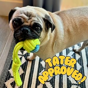 Taters-Choice-4pc-Rope-Toy-Set-Durable-Cotton-Knotted-Woven-Pet-Dog-Toy-Rope-Set-for-Small-to-Medium-Dogs-Eco-Friendly-Cotton-Rope-Toys - Cucciolini Doodles   Taters-Choice-4pc-Rope-Toy-Set-Durable-Cotton-Knotted-Woven-Pet-Dog-Toy-Rope-Set-for-Small-to-Medium-Dogs-Eco-Friendly-Cotton-Rope-Toys