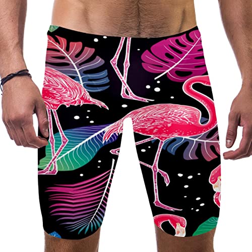 Traje de baño de secado rápido para hombre con estampado de flamenco tropical