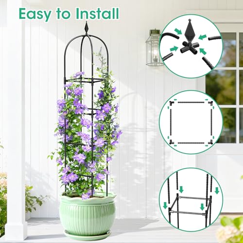2 Pack Garden Obelisk Trellis for Climbing Plants, 71" Metal Rustproof Plant Support Rose Trellis, Tower Potted Cages for Flowers Fruits Vegetable Vines Indoor & Outdoor, Black(4 Tiers) by MQHUAYU - Image 4