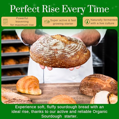 Image of Organic Sourdough Starter - Non-GMO Dehydrated Heirloom Style Organic Sourdough Starter Kit for Sourdough Bread, Pizza, Buns, Pancakes, Muffins | Easy to follow instructions.
