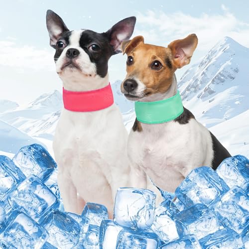 SCENEREAL ppo_ilbNbvAĂ̏G߂̂߂̃CX^g`ybgo_iA߉\ȍėp\ȃACXXJ[truWFN[[ ^^OAsN&O[ S