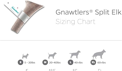 Miniatura 6 de Pet Parents Gnawtlers - Cuernos de alce prémium para perros, cuernos de alce de desprendimiento natural para perros regiones del corazón (extra