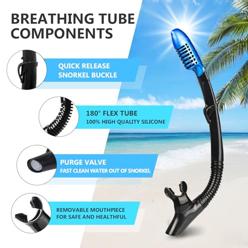 Image of Adult Snorkel Set, Professional Snorkeling Gear Panoramic Anti-Fog Diving Goggles and Dry Snorkel Tempered Glass Scuba Mask for Diving, Snorkeling and Swimming (Blue-Silver Set)