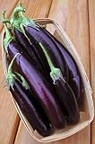 Japanese Long Purple Eggplant Live Plants, Solanum Melongena, Thin Skin, Sweet Flavor, Tender Flesh, 3 Pack