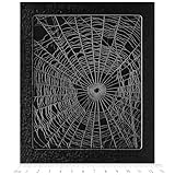 BicBugs Orb Weaver Spider Web Framed Preserved USA W4