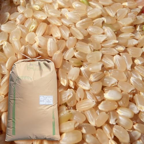 即購入OK　送料込　令和5年産　100%純新米　愛媛県産　にこまる　玄米20kg 令和6年新米】農薬軽減にこまる（20kg）玄米・無洗米：愛媛県産