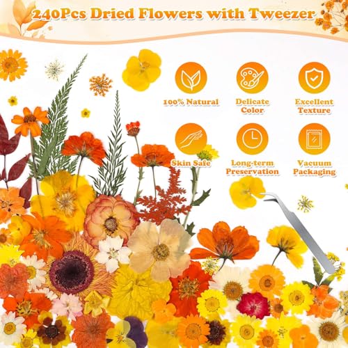 Image of 361 Pcs Fall Dried Pressed Flowers Butterfly Stickers for Resin Crafts
