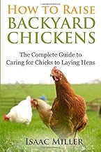 How To Raise Backyard Chickens: The Complete Guide to Caring for Chicks to Laying Hens