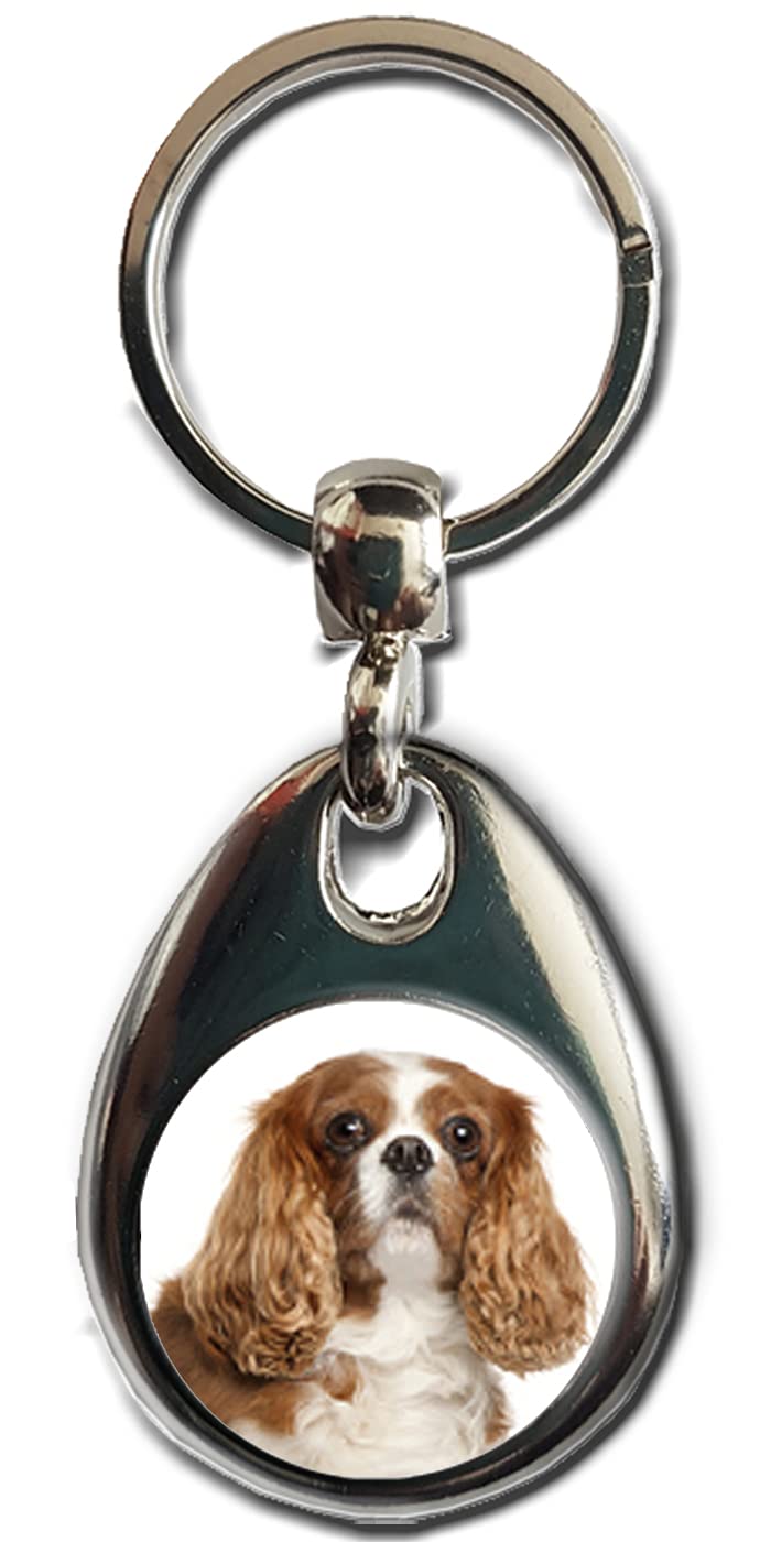 Kazmugz Unisex Multicolor Cavalier King Charles Spaniel Blenheim Dog Keyring. Heavy Quality Metal Gift Keyring. Double Sided Keychain. Puppy Dog Pet Gift.