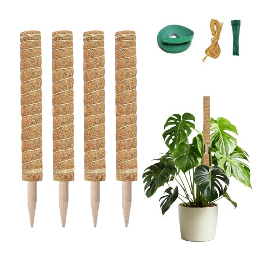 Tutores para Plantas Monstera, 4 Piezas 40cm en Fibra de Coco, con 2m de Cuerda, 2m Velcro y 20 Bridas, Apilables y Extraíbles, Soporte para Plantas Trepadoras (4)