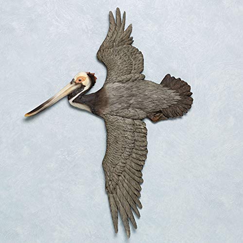 Touch Of Class Soaring Pelican Wall Art Sculpture - Gray - Made Of Resin - Animal Sculptures - Wall Art For Office, Desk, Kitchen, Living Room, Bedroom, Patio - Ocean Life #TOP23