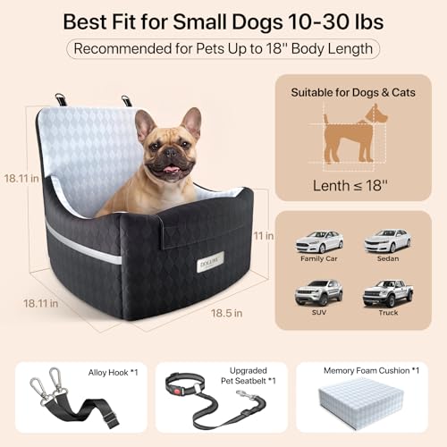 Elevated Dog Car Seat with Cooling Gel