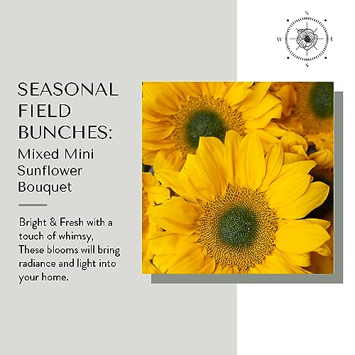 Floral Compass Bouquet of Flowers for Delivery - Prime Eligible - Mixed Mini Sunflower Bouquet, 20 Fresh Cut Flowers and Foliage