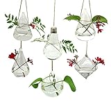 Glass Hanging Planters Succulent 6PCS/Set with Two Mini Holes and Twine Rope Terrarium Pots Containers Air Plant Bud Flower Vase Indoor Outdoor for Home, Garden, Weddding, Party, Anniversary.