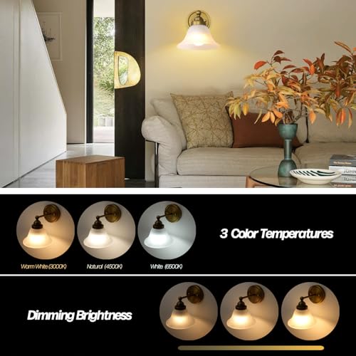 Image of HEQIQEH Vintage Battery Operated Wall Sconce with White Funnel Flared Frosted Glass Shade, Remote Control Dimmable Rechargeable Wall Lamp, Indoor Wall Light Fixture for Bedroom Living Room Bathroom