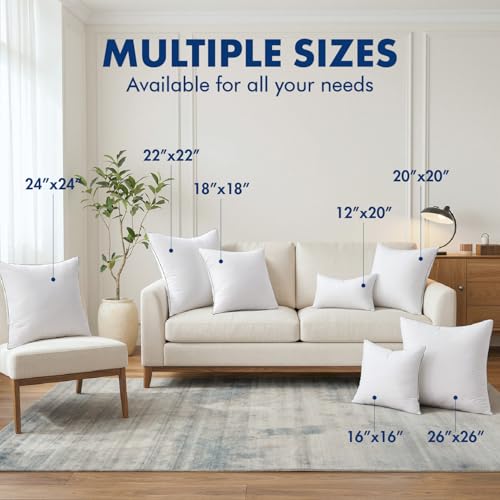 Image of MIULEE 12x20 Pillow Inserts Pack of 2, Throw Pillow Inserts with 100% Cotton Cover, Rectangle Decorative Pillow Inserts for Sofa Bed Couch Bench