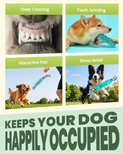Dog Chew Toys for Medium Large Dogs, Toothbrush Toy with Rope - image 6
