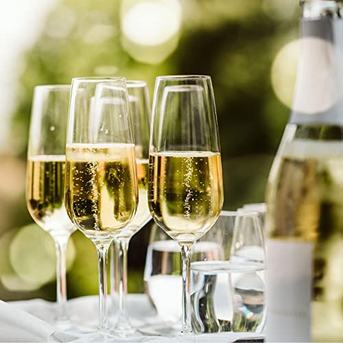Copas de champán de plástico reutilizables y copas de vino de 200ml 4
