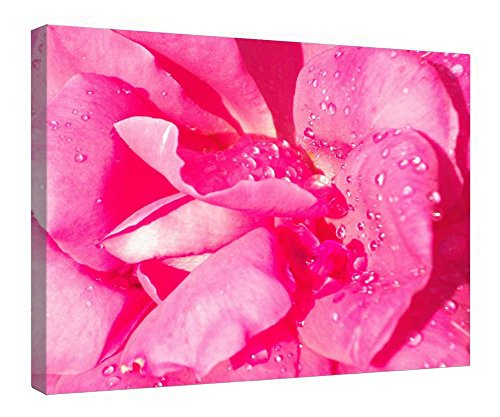 Impression sur toile encadrée en bois avec finition premium pour salon élégant