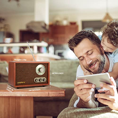 Radio Vintage LoopTone USB SD AM FM con Bluetooth miniatura 2