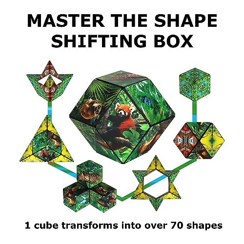 Image of Shashibo DODECA Magnetic Puzzle Cube, Sensory Fidget Toy for Adults & Kids, Stress Relief Fidget Toy for All Ages, Cool Fidget Toys for Desk, Shape Shifting Box, 100+ Possible Shapes
