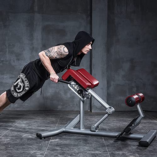 Commercial Roman Chair, Waist And Back Abdominal Muscle Trainer, Gym Equipment Roman Stool, 7-Speed Sawtooth Adjustment, Load-Bearing 600Kg #TOP1