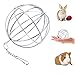 UIEECAGA Pet Herbe Boule en Acier Inoxydable, Sphère Treat Cochon d'Inde Hamster Rat Lapin Feed Distributeur à Suspendre Boule Jouet pour Petits Animaux